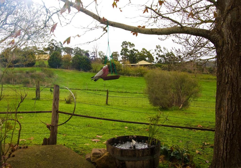 Amble Wren Spa Cottage